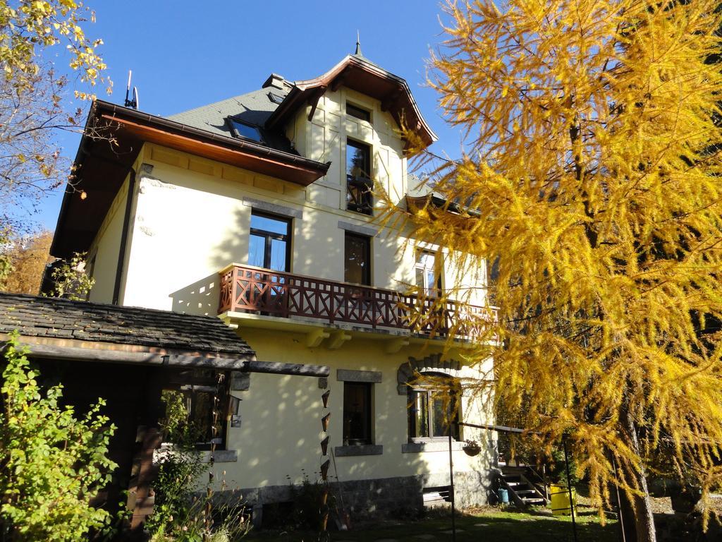 Les Terrasses Des Glaciers - Appartement 2 Шамони Номер фото